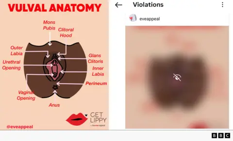 BBC/Eve Appeal Screenshot comparing a labeled educational diagram of vulval anatomy with a blurred social media image. The left side shows a medical-style illustration titled “Vulval Anatomy,” labeling structures including the mons pubis, clitoral hood, glans clitoris, inner and outer labia, urethral opening, vaginal opening, perineum, and anus. The right side shows the same image heavily blurred and marked with an eye-with-slash icon on a social media platform’s “Violations” screen, indicating the content was restricted or hidden. A BBC logo appears in the bottom-right corner.